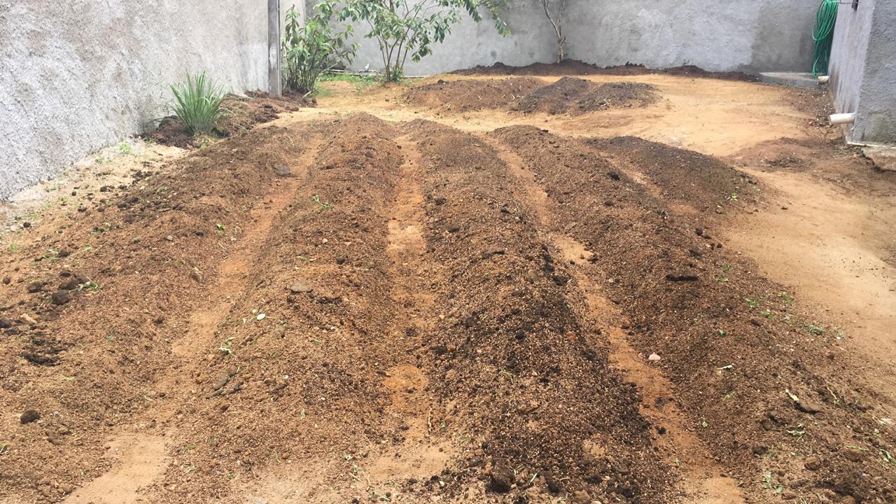 Mutirão deixa horta comunitária pronta para plantar