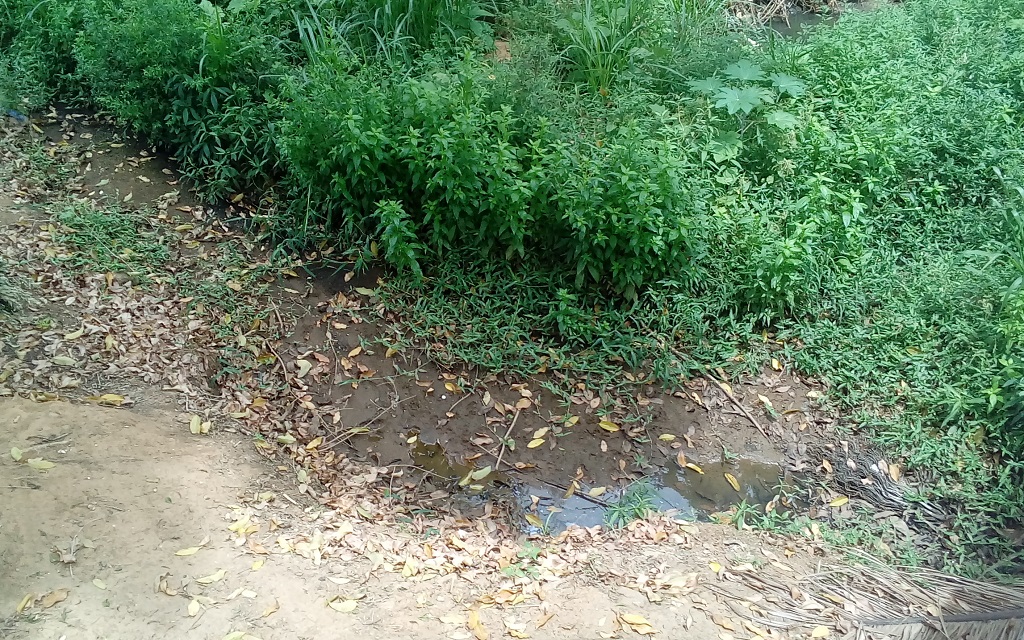 Rio 5 de Novembro em Santo Antônio do Canaã está seco