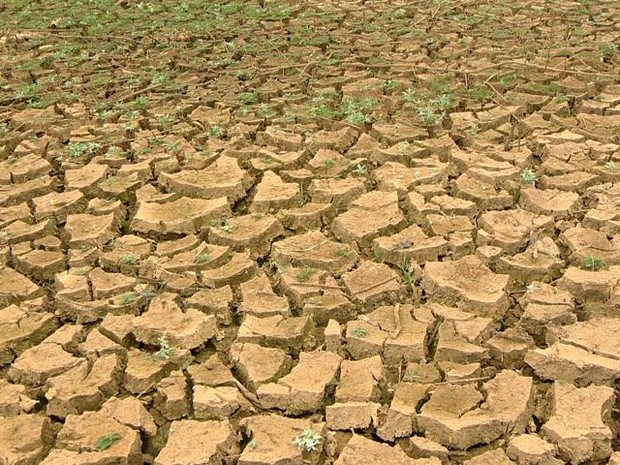 Audiência Publica discute os impactos da seca em Santa Teresa