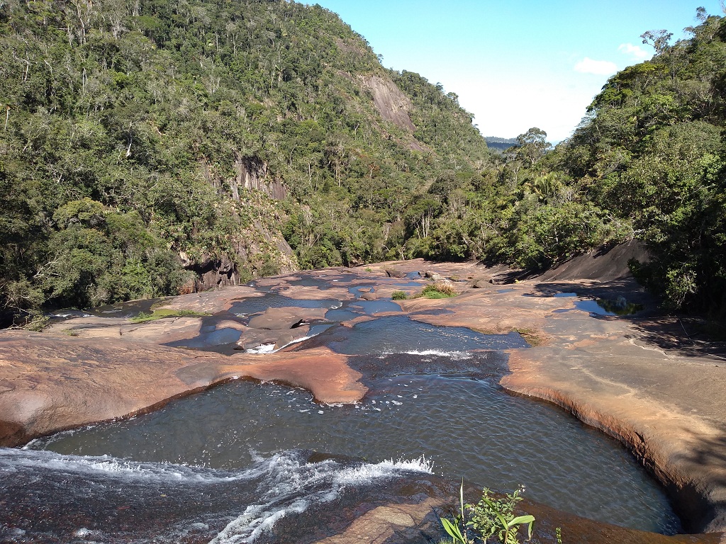 Santa Teresa mostra toda sua biodiversidade no Dia do Meio Ambiente 