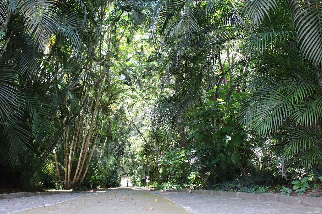 INMA Parque do Museu Mello Leitão. Foto: Leonardo Meira 