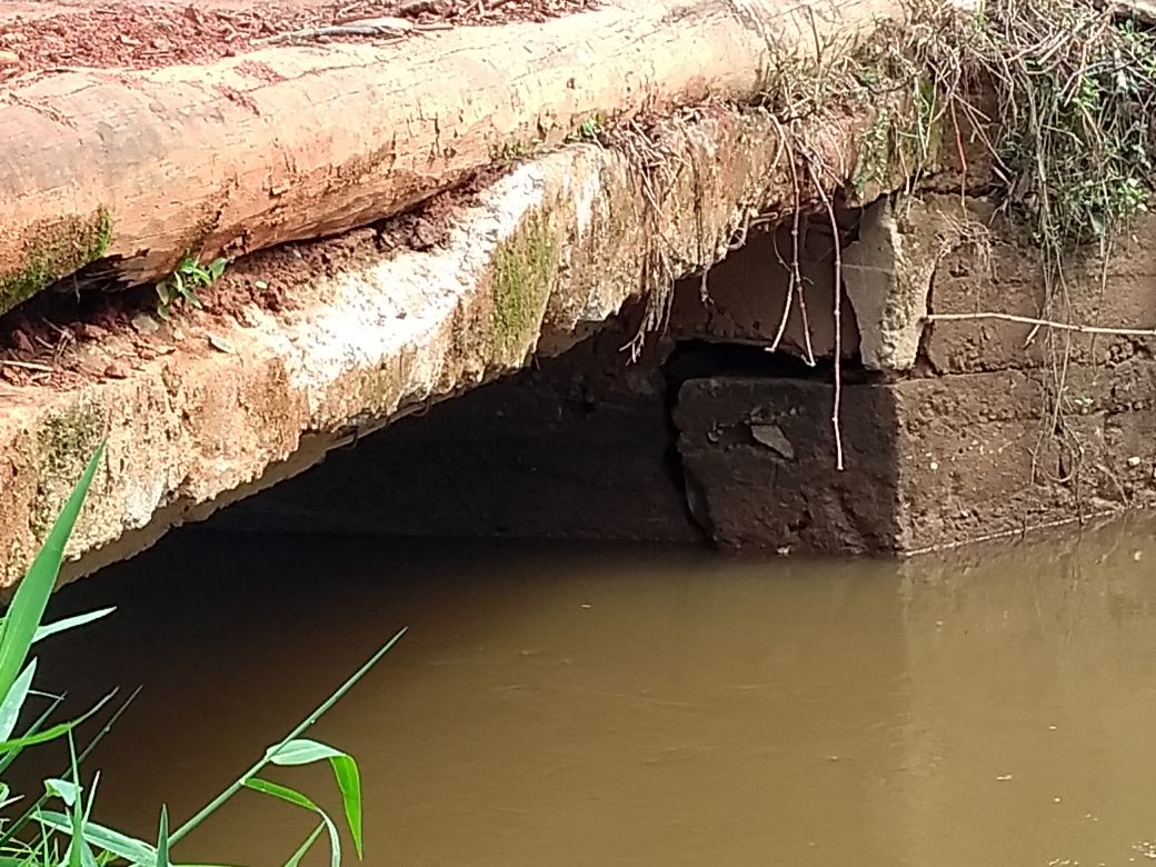 Vereador indica construção de ponte na localidade da Penha